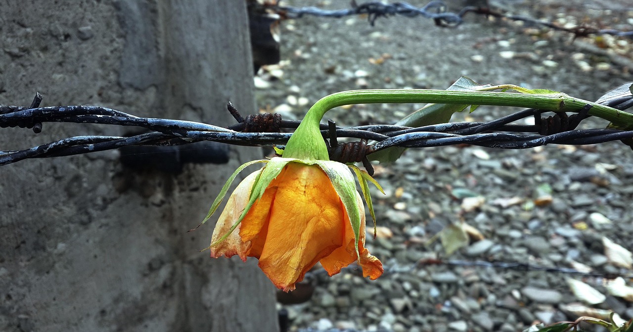 Jednodniowe rekolekcje w milczeniu, metodą Lectio Divina - Panie uzdrów miejsca "sparaliżowane" w moim życiu! (Mk 2, 1-12)