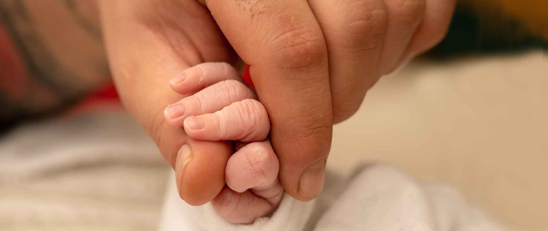 Jednodniowe rekolekcje w milczeniu, metodą Lectio Divina -